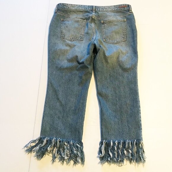 ANTHROPOLOGIE PILCRO Hyphen Boy Fit Fringe Crop Jeans Womens 32 - Picture 4 of 10